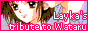 Mi web de wataru
