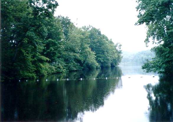 Upper Lake, Mt. Holyoke College