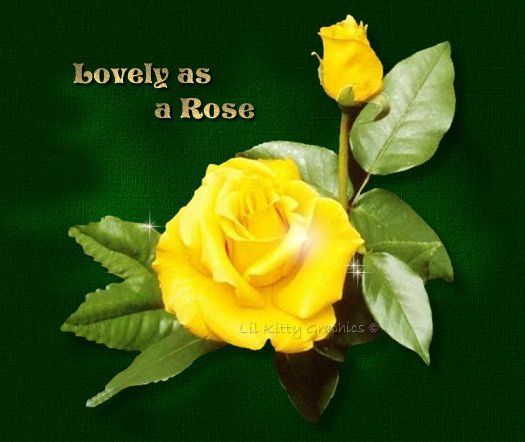 lovelyrose
