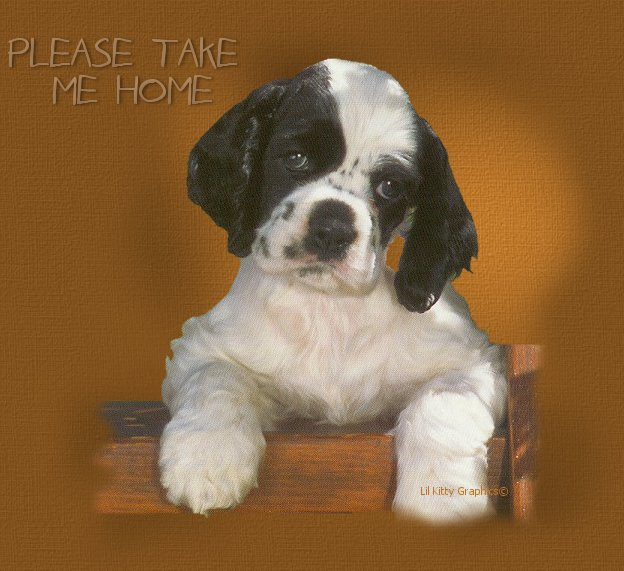takemehome