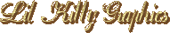 Lil Kitty Graphics