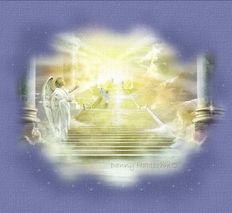 visonheaven