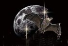 Hook Icon