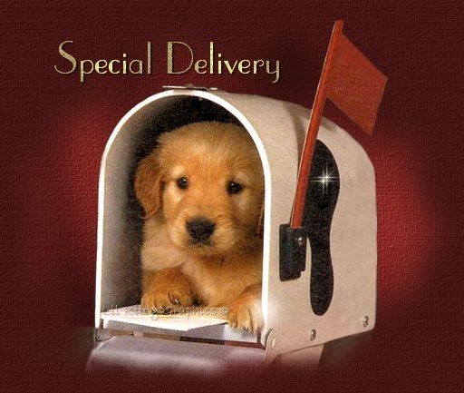 specialdelivery