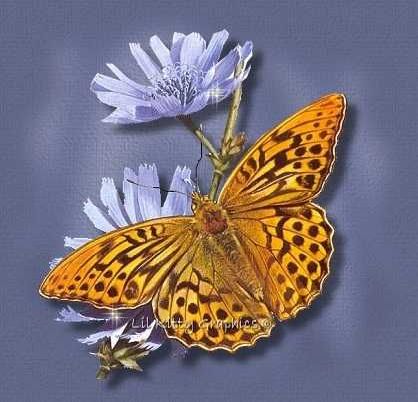 wellwishes