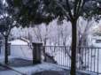 nievica