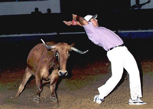 La verdad sobre la vaca desaparecida