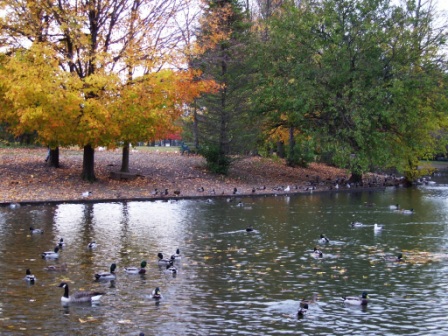 The most beautiful Pond in the world