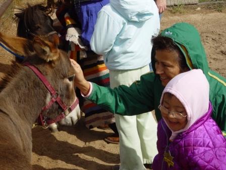Children meet the donkey