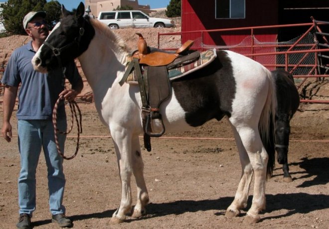Look in October of 2004&nbsp; SADDLE UP!