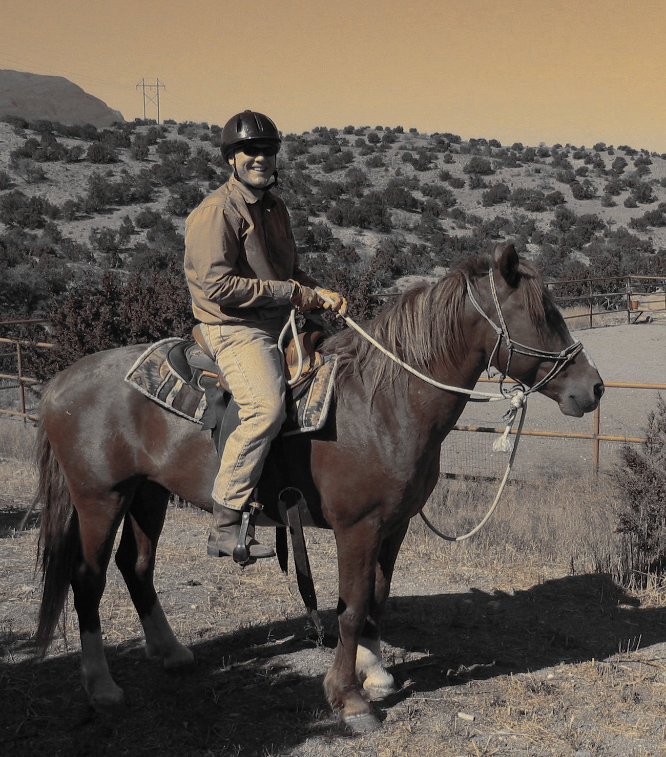 Steve Young on Breezy the wild mustang