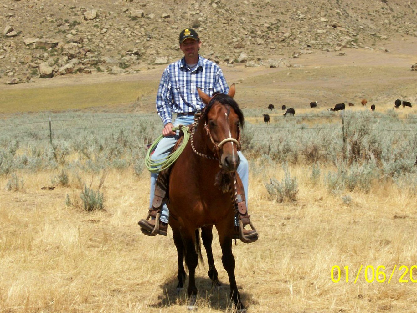 Zane Martin Real Life Montana Cowboy and Cattle Man 2007