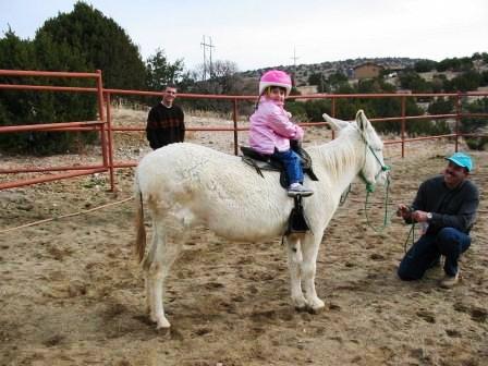 Sarah the Donkey reluctantly gives Zoe a ride