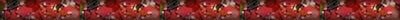/user/Autumn2bar.jpg