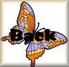 /user/Butterflybackbut.jpg