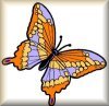 /user/Butterflyblankbut.jpg
