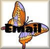 /user/Butterflyemailbut.jpg