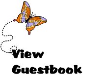 /user/Butterflyview.jpg