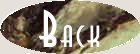 /user/Rockbackbut.jpg