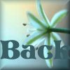 /user/Spring2backbut.jpg