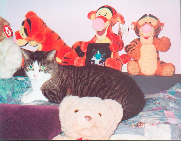 Teddy and the bears!