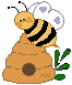 home2.gif (1419 bytes)