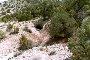 The mine