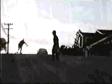 /user/lbanim3.gif