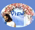 jesusnview.jpg