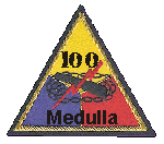 100 Patch