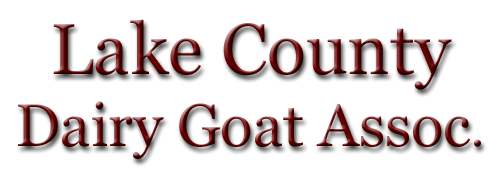 LCDGA Banner