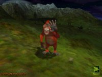 Ape