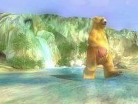 Brown Bear