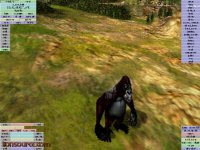 Gorilla