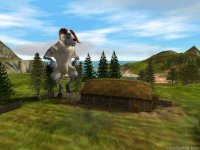 Sheep