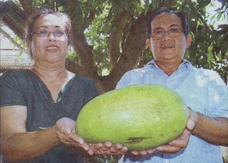 Mango