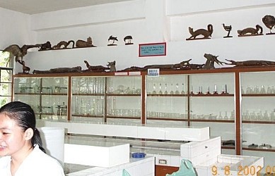 New Lab