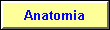 Anatomia