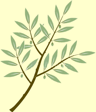 Olive branch