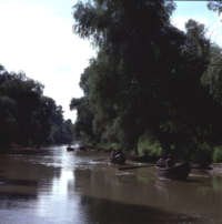 Danube Delta 2