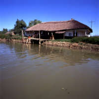 Danube Delta 3