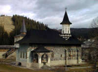 Sucevita