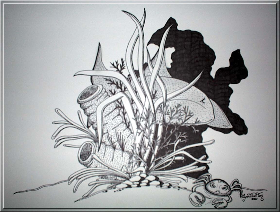 My Shark, same as fish hand drawn and big