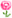 21rose.gif (414 bytes)