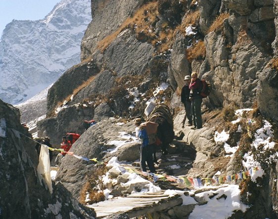 Stopping for yaks on the trail to Gokyo