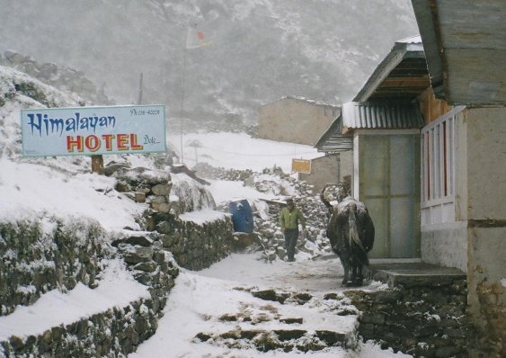 Dole in the snow