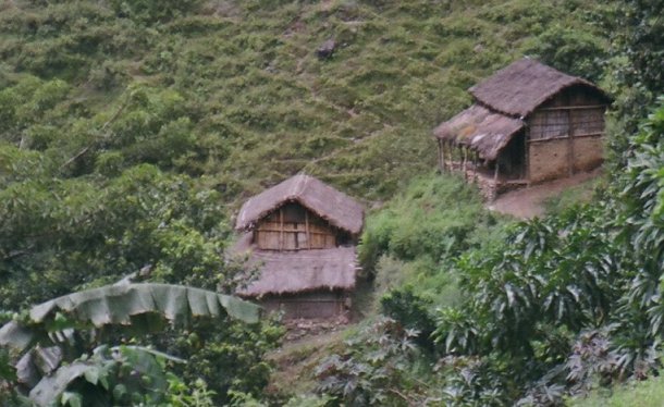 typical homes