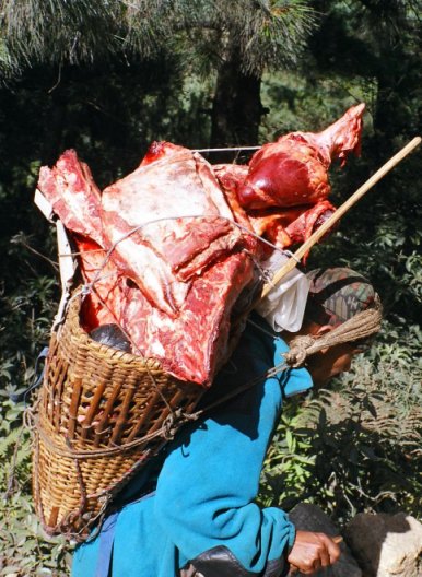 Meat on the move