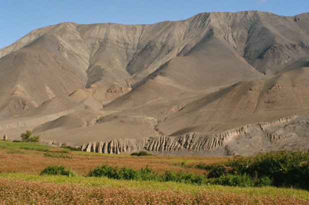 Colours of Mustang