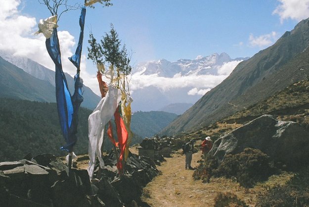 Colourful flags on the trail